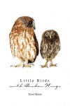 little birds